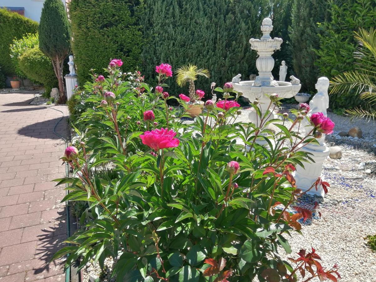 Apartment Natali Эринген Экстерьер фото